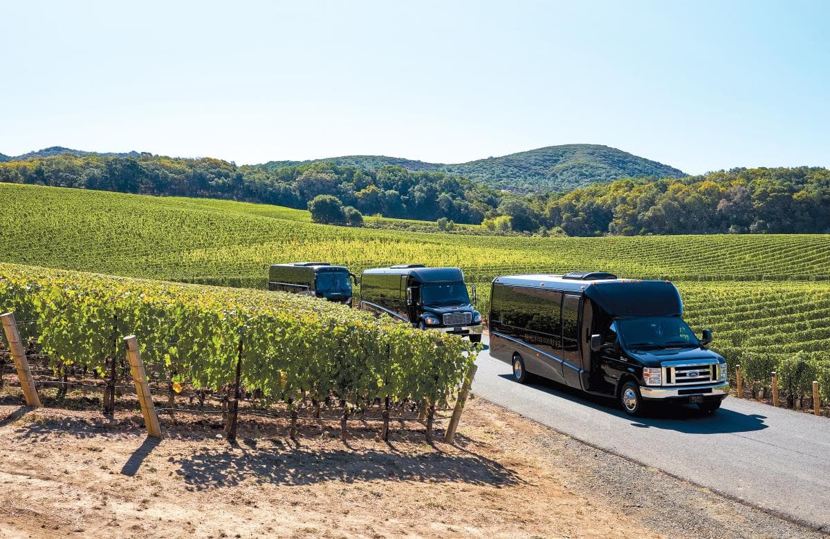 Napa & Sonoma Tours — Blackhawk Trans Limo